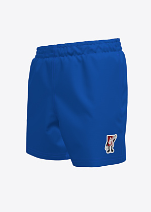 Nike rannashortsid Patch Volley Short