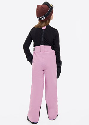 Зимние штаны Paley Five Seasons