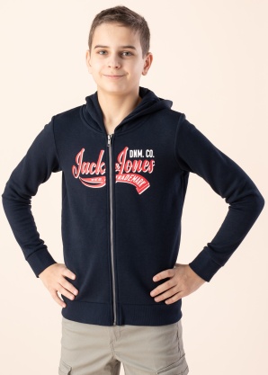 Jack & Jones pusa Logo