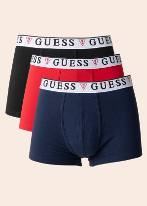 Боксеры Brian Guess