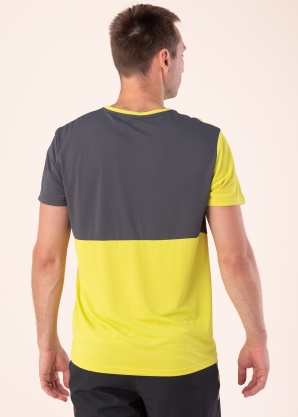 Футболка Bettles Icepeak