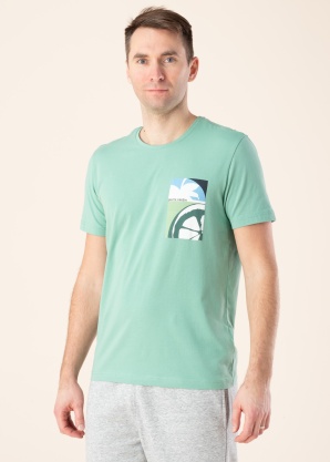 Футболка Pierre Cardin