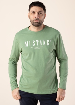 Футболка Asheville Mustang