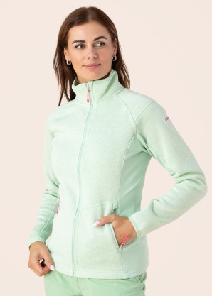 Icepeak pusa Bleeker