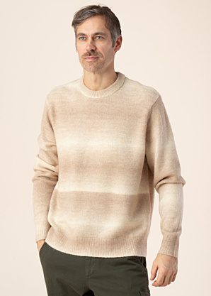 Jack & Jones kampsun Spencer