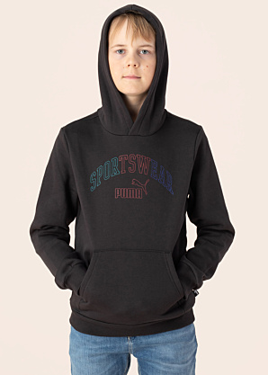 Кофта логотип Lab Puma