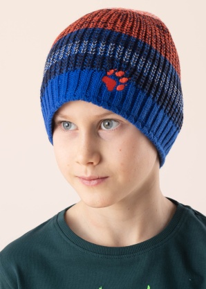 Зимняя шапка Stormlock Jack Wolfskin