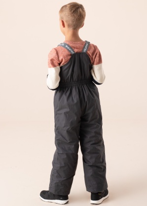 Зимние штаны Flinn Huppa