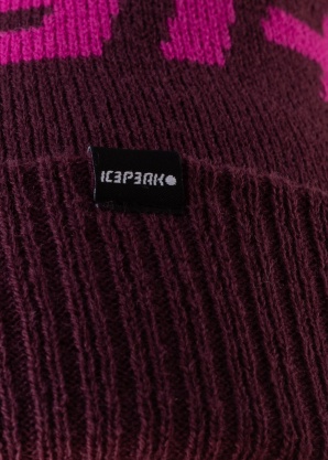 Icepeak talvemüts Hallsburg