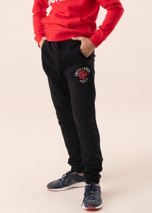 Спортивные штаны Tlogo Jack & Jones