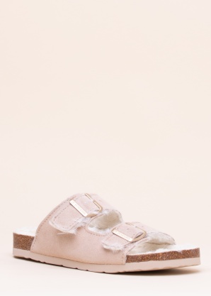 Dr. Brinkmann sussid