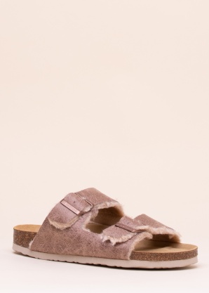 Dr. Brinkmann sussid