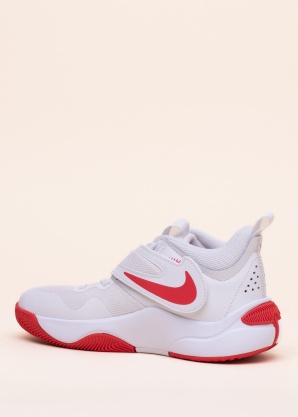 Баскетбольные кроссовки Team Hustle D 11 Nike