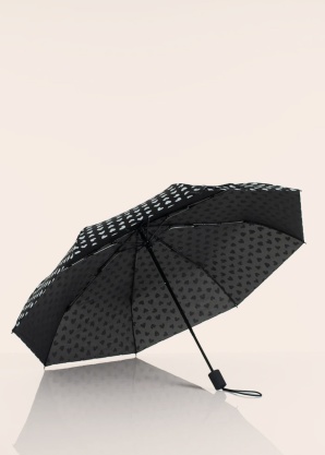 Зонтик Lasessor