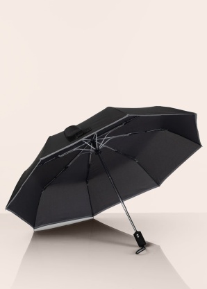 Зонтик Reflective Lasessor