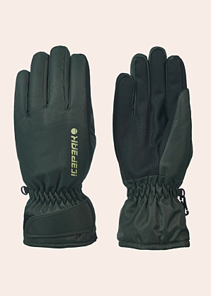 Зимние перчатки Hayden Icepeak