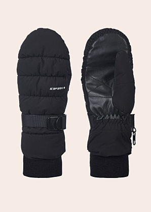 Icepeak labakindad Hoyleton