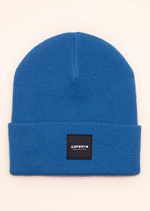 Icepeak talvemüts Harcourt