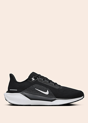 Nike jooksujalatsid Air Zoom Pegasus 41
