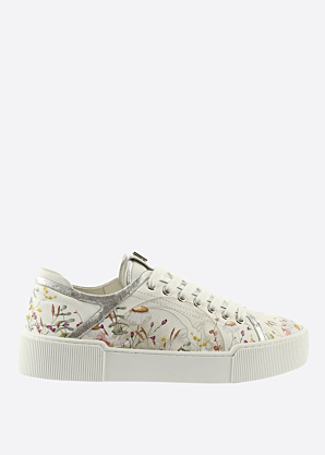 Тенниски Högl