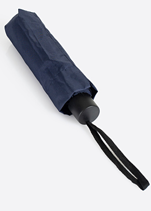 Зонтик Lasessor