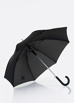 Зонтик Lasessor