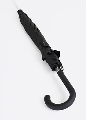 Зонтик Lasessor