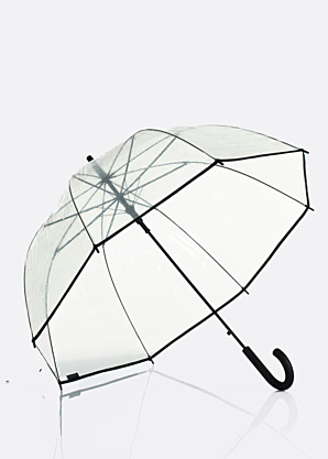 Зонтик Lasessor