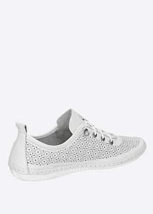 Cosmos vabaajajalatsid