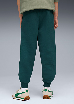 Спортивные штаны Ess No.1 логотип Puma