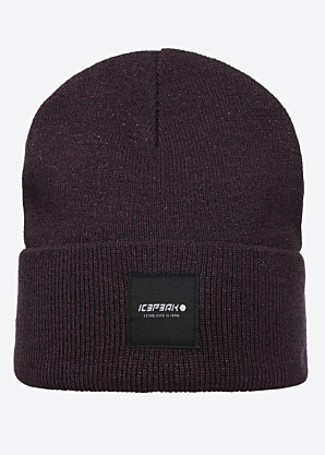 Шапка Hanahan Icepeak