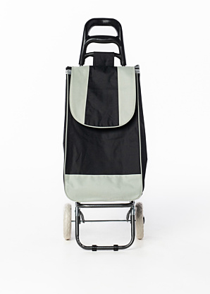 Сумка для покупок на колесиках Baggage
