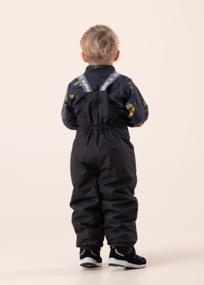 Зимние штаны Sonny Huppa