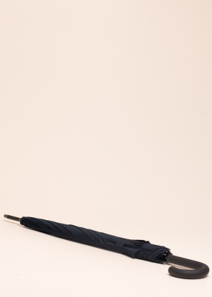 Зонтик Buddy Long Bugatti