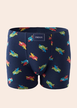 Боксеры Friends