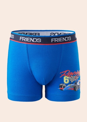 Боксеры Friends