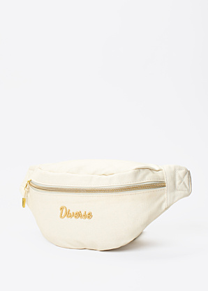 Сумка Sany S Diverse