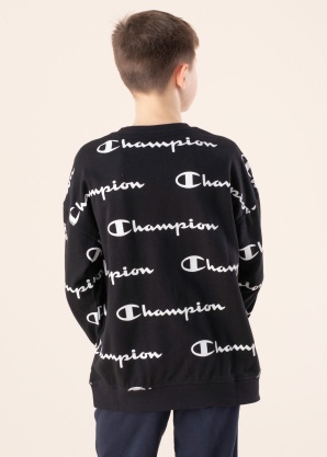 Champion Кофта 