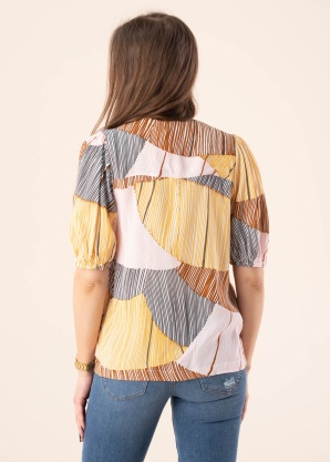 Dranella pluus Primula